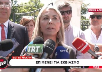 «Αν χρειαζόμουν κάποιον να με υποστηρίξει δεν θα επέλεγα μέλος πάνελ πρωινάδικου»: Απασφάλισε η Μακρή για τον δημοσιογράφο