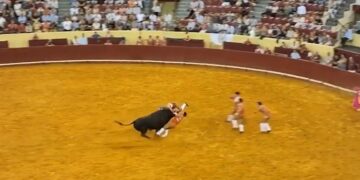 Alldaynews.gr Ταύρος σκότωσε 22χρονο ταυρομάχο στην αρένα – Η σοκαριστική στιγμή