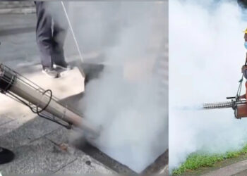 Ιος Chikungunya: Πάνω από 7.000 κρούσματα του ιού στην Κίνα – Φόβοι για νέα πανδημία