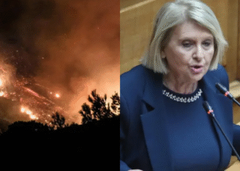 «Δεν φταίνε οι νόμοι – Απλά δεν έχουμε εθελοντές» – Προκλητική δήλωση Βούλτεψη εν μέσω πύρινης λαίλαπας