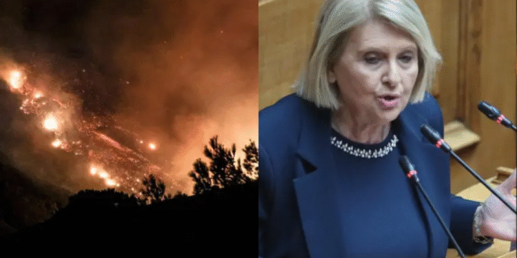 «Δεν φταίνε οι νόμοι – Απλά δεν έχουμε εθελοντές» – Προκλητική δήλωση Βούλτεψη εν μέσω πύρινης λαίλαπας