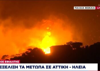 Alldaynews.gr Πυρκαγιά στην Κερατέα: Απομονωμένος χωρίς ρεύμα και νερό ζούσε από το 2007 ο ηλικιωμένος που βρέθηκε απανθρακωμένος