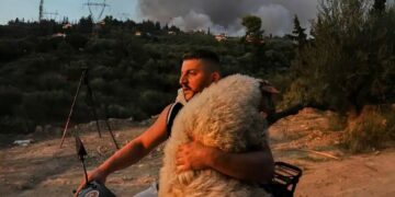 Alldaynews.gr Μάχη των εθελοντών για να σώσουν τα ανυπεράσπιστα πυρόπληκτα ζώα