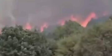Alldaynews.gr ΕΚΤΟΣ ΕΛΕΓΧΟΥ Η ΦΩΤΙΑ: ΚΤΗΝΟΤΡΟΦΟΙ ΑΠΟΜΑΚΡΥΝΟΥΝ ΤΑ ΖΩΑ ΤΟΥΣ – ΕΝΙΣΧΥΘΗΚΑΝ ΟΙ ΔΥΝΑΜΕΙΣ