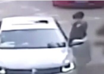 Φρίκη σε σαφάρι: Καρέ καρέ η στιγμή που τίγρη αρπάζει γυναίκα μπροστά στην οικογένειά της – Νεκρή η μητέρα της που προσπάθησε να τη σώσει