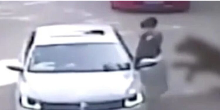 Alldaynews.gr Φρίκη σε σαφάρι: Καρέ καρέ η στιγμή που τίγρη αρπάζει γυναίκα μπροστά στην οικογένειά της – Νεκρή η μητέρα της που προσπάθησε να τη σώσει