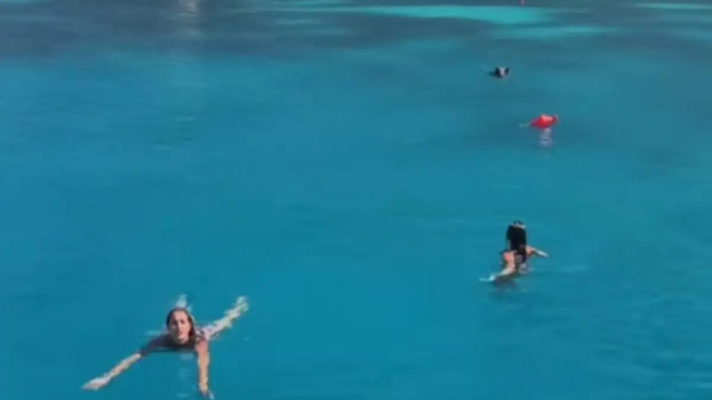 Αγριογούρουνο