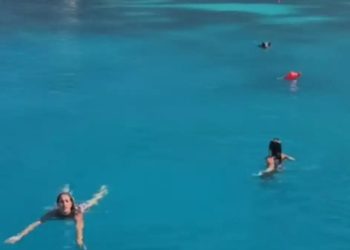 Αγριογούρουνο στην Ιθάκη κυνήγησε τουρίστριες μέσα στη θάλασσα