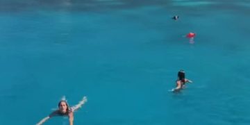 Alldaynews.gr Αγριογούρουνο στην Ιθάκη κυνήγησε τουρίστριες μέσα στη θάλασσα