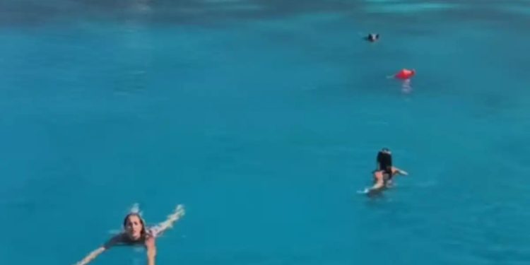 Alldaynews.gr Αγριογούρουνο στην Ιθάκη κυνήγησε τουρίστριες μέσα στη θάλασσα