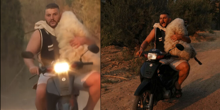 Alldaynews.gr «Είμαι τρελάκιας με τα ζώα»: Αυτός είναι ο 33χρονος Αλβανός που έσωσε τη «Μέλπω» από τη φωτιά στην Αχαΐα