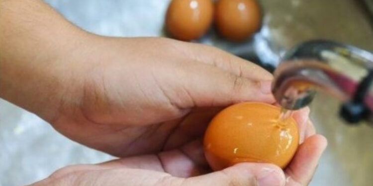 Alldaynews.gr Ανησυχία για τα ελληνικά αυγά: Χημικές ουσίες και φυτοφάρμακα δείχνει μελέτη του Πανεπιστημίου Αιγαίου και του ΕΚΠΑ