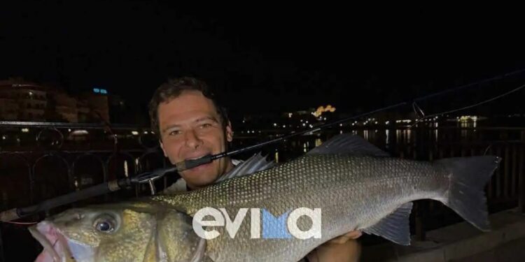 Ψαράς στην Εύβοια έβγαλε λαβράκι 6 κιλά με το καλάμι του – Εικόνες από την εντυπωσιακή ψαριά