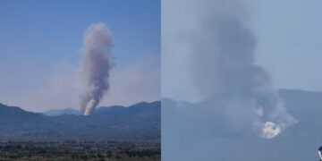 Alldaynews.gr Φωτιά στη Μεσσηνία – Συναγερμός στην Πυροσβεστική – Μήνυμα του 112 για εκκένωση