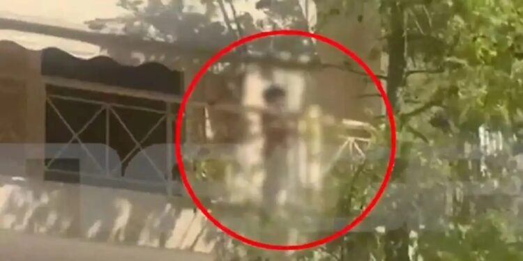 Alldaynews.gr «Αφήνουν συστηματικά το 5χρονο μόνο στο σπίτι» καταγγέλλουν οι γείτονες της οικογένειας