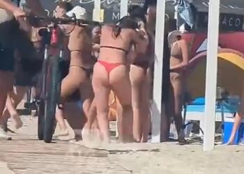 Προσωπικό ζωολογικού κήπου αποφάσισε να θανατώσει 12 υγιείς μπαμπουίνους και να τους πετάξει στα λιοντάρια