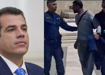 Alldaynews.gr Μετανάστης επιτέθηκε σε Εύζωνες στο Σύνταγμα – Έξαλλος ο Πλεύρης τον στέλνει πίσω στην χώρα του