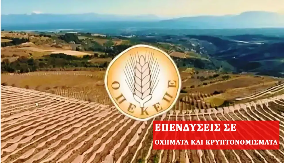 Alldaynews.gr Αγριογούρουνο