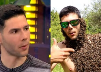 Η τρελή άνοδος και η ξαφνική πτώση του Ορεινή Μέλισσα