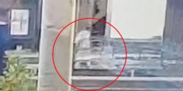 Alldaynews.gr Πέθανε ο Μάρκος Κρητικός: Θρήνος για τον συγγραφέα που έφυγε ξαφνικά στα 57 του