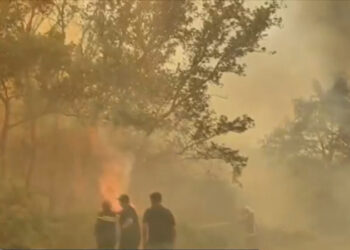 Alldaynews.gr Ξέσπασμα και καταγγελίες από τον πρόεδρο της Ένωσης Πυροσβεστών Δ. Ελλάδας: «Η Πάτρα, η τρίτη μεγαλύτερη πόλη της Ελλάδας, έχει έναν μάχιμο πυροσβεστικό σταθμό. Έναν»