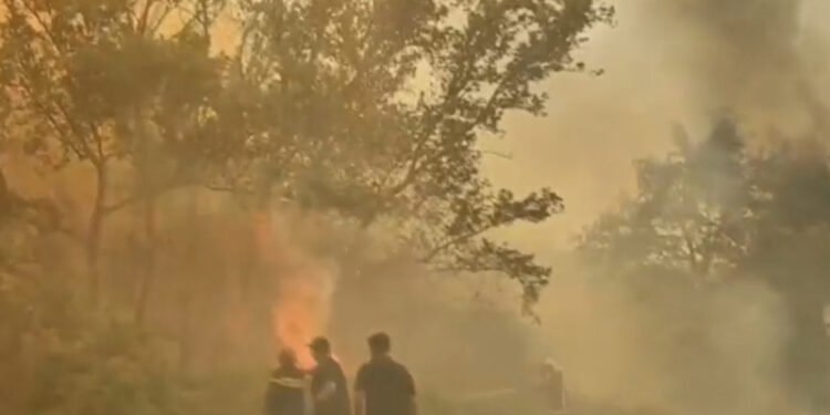 Alldaynews.gr Ξέσπασμα και καταγγελίες από τον πρόεδρο της Ένωσης Πυροσβεστών Δ. Ελλάδας: «Η Πάτρα, η τρίτη μεγαλύτερη πόλη της Ελλάδας, έχει έναν μάχιμο πυροσβεστικό σταθμό. Έναν»