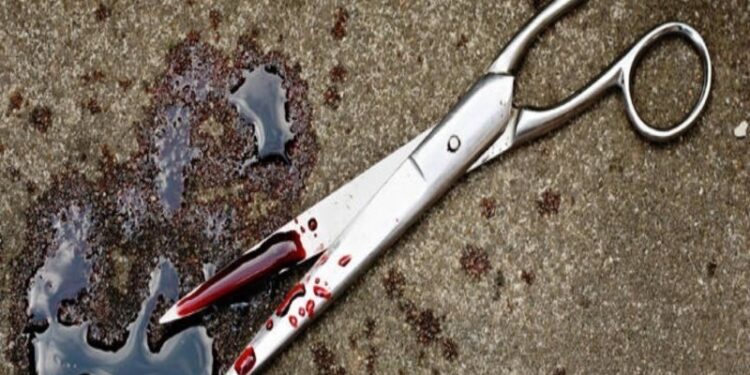 Άνδρας σκότωσε με ψαλίδι σύζυγο και πεθερά ανήμερα των γενεθλίων του γιου τους