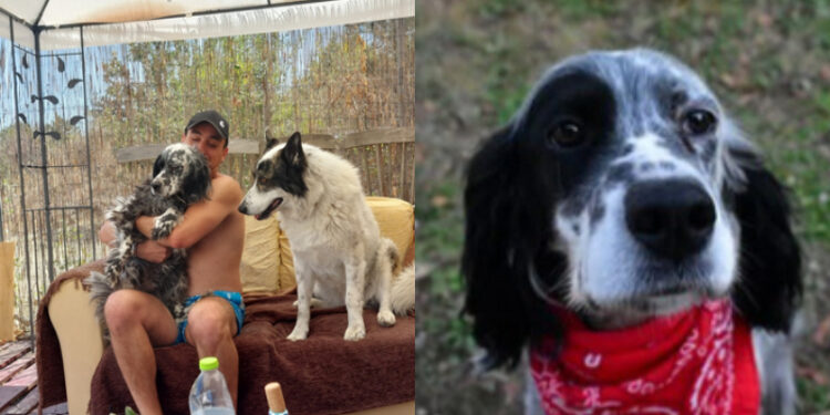 Alldaynews.gr Άγνωστος πυροβόλησε και σκότωσε τον σκύλο οικογένειας μέσα στο σπίτι τους – «Υπάρχει ένας δολοφόνος ανάμεσά μας»