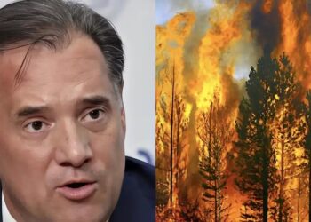 Γεωργιάδης: «Τα δάση καίγονται από την… ίδρυσή τους, είναι μια φυσική διαδικασία»