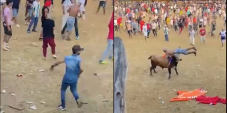 Alldaynews.gr Ταύρος σκοτώνει άνδρα σε φεστιβάλ: Το βίντεο που σοκάρει