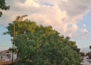 Ισχυρό μπουρίνι, έριξε δέντρα και μετέτρεψε τους δρόμους σε ποτάμια – Εικόνες από τις καταστροφές