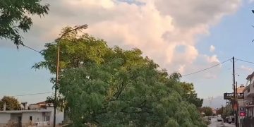 Ισχυρό μπουρίνι, έριξε δέντρα και μετέτρεψε τους δρόμους σε ποτάμια – Εικόνες από τις καταστροφές