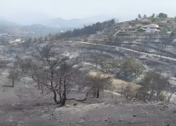 Alldaynews.gr Στάχτη και αποκαΐδια στη Χίο: Drone καταγράφει από ψηλά το μέγεθος της καταστροφής μετά τη φωτιά (video)
