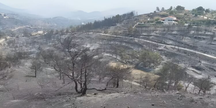 Alldaynews.gr Στάχτη και αποκαΐδια στη Χίο: Drone καταγράφει από ψηλά το μέγεθος της καταστροφής μετά τη φωτιά (video)