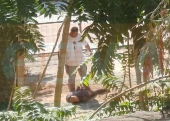 Η στιγμή της σύλληψης του 40χρονου συζυγοκτόνου – «Καλά της έκανα, αυτό της άξιζε» – Δείτε φωτογραφίες και βίντεο