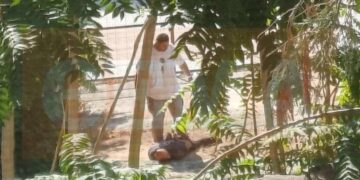 Η στιγμή της σύλληψης του 40χρονου συζυγοκτόνου – «Καλά της έκανα, αυτό της άξιζε» – Δείτε φωτογραφίες και βίντεο