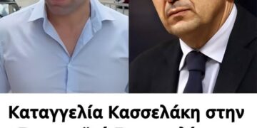 Καταγγελία Κασσελάκη στην Ευρωπαϊκή Εισαγγελία για το πόθεν έσχες Αυγενάκη: «Έσοδα πάνω 1,2 εκατ. ευρώ χωρίς εξήγηση»