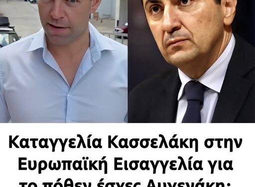 Καταγγελία Κασσελάκη στην Ευρωπαϊκή Εισαγγελία για το πόθεν έσχες Αυγενάκη: «Έσοδα πάνω 1,2 εκατ. ευρώ χωρίς εξήγηση»