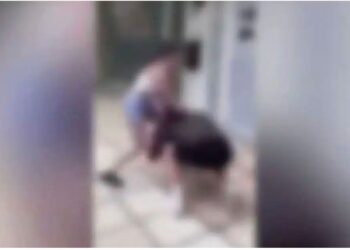 Σύλληψη 4 κοριτσιών για bullying: Εξευτέλισαν 13χρονη και κατέγραψαν βίντεο καθώς τους φιλούσε τα πόδια