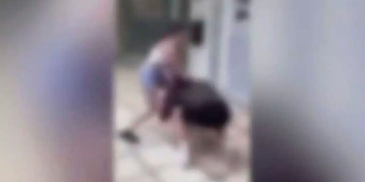 Alldaynews.gr Σύλληψη 4 κοριτσιών για bullying: Εξευτέλισαν 13χρονη και κατέγραψαν βίντεο καθώς τους φιλούσε τα πόδια