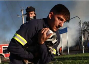 Πυροσβέστες έσωσαν γατάκια από τη φωτιά στο εργοστάσιο στο Μενίδι