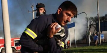 Alldaynews.gr Πυροσβέστες έσωσαν γατάκια από τη φωτιά στο εργοστάσιο στο Μενίδι