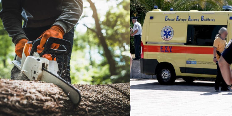 Alldaynews.gr Τραγωδία: Άνδρας σκοτώθηκε ενώ εκτελούσε εργασίες με αλυσοπρίονο