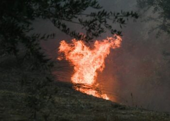 Alldaynews.gr Φωτιά: Συνελήφθη ιερέας για εμπρησμό από πρόθεση (video)