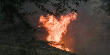 Alldaynews.gr Φωτιά: Συνελήφθη ιερέας για εμπρησμό από πρόθεση (video)