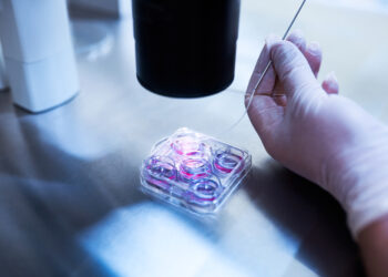 Μικρογονιμοποίηση (ICSI): Διαδικασία,Ενδείξεις και Σημασία