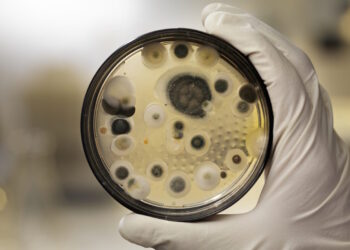 Επικίνδυνος μύκητας εξαπλώνεται στα ελληνικά νοσοκομεία: Στην 5αδα με τα περισσότερα κρούσματα στην ΕΕ η χώρα μας