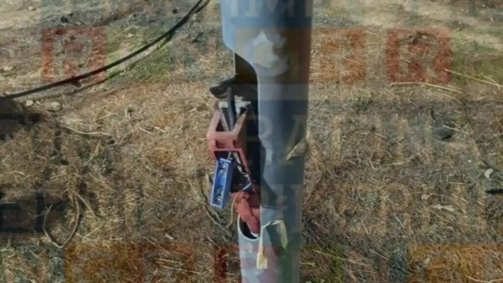 ηλεκτροπληξία