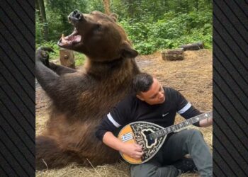 Απίστευτο βίντεο: Λαρισαίος παίζει μπουζούκι δίπλα σε αρκούδα στη Ρωσία