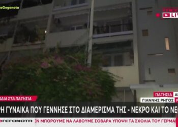 «Δεν είδα κανένα ψαλίδι»: Τι είπε ο σύζυγος της 34χρονης που εντοπίστηκε νεκρή μαζί με το νεογνό της στο διαμέρισμά της